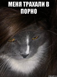 меня трахали в порно 