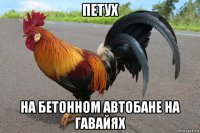 петух на бетонном автобане на гавайях
