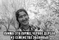  хуйма-это хурма, черное дереао из семейства эбеновых
