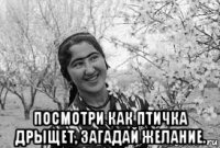  посмотри как птичка дрыщет, загадай желание.