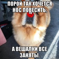 порой так хочется нос повесить, а вешалки все заняты.