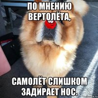 по мнению вертолёта, самолёт слишком задирает нос.