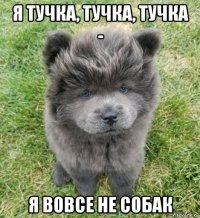 я тучка, тучка, тучка - я вовсе не собак