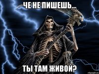 че не пишешь... ты там живой?