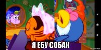  я ебу собак