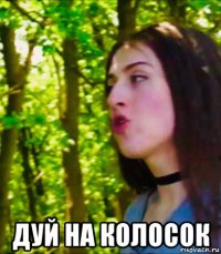  дуй на колосок
