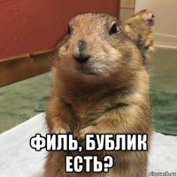  филь, бублик есть?