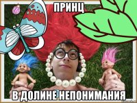 принц в долине непонимания