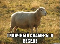  типичный спамеры в беседе