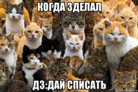 когда зделал дз:дай списать