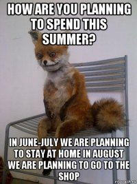 how are you planning to spend this summer? in june-july we are planning to stay at home in august we are planning to go to the shop