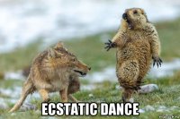  ecstatic dance
