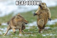 kcas 1000w! 