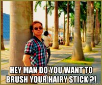  hey man do you want to brush your hairy stick ?!