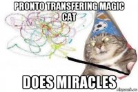 pronto transfering magic cat does miracles