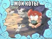 мои коты 