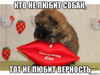 кто не любит собак, тот не любит верность