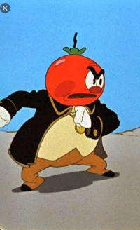 Все мемы Chipollino