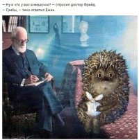 Создать мем Ежик в тумане