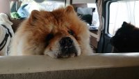 Создать мем Когда немного приуныл