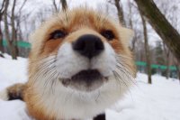 Создать мем Люблю я кирилловское