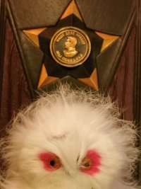Создать мем Soviet owl