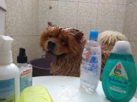 Создать мем Водные процедуры