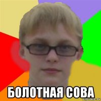  болотная сова