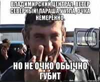 владимирский централ, ветер северный! параша у угла, очка немеренно. но не очко обычно губит