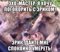 эхо: мастер, я хочу поговорить с эриком! эрик: дайте мне спокойно умереть!