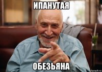 ипанутая обезьяна