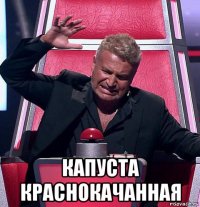  капуста краснокачанная