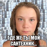  где же ты мой сантехник...