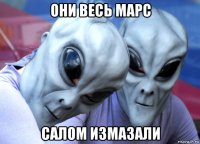 они весь марс салом измазали