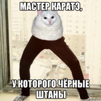 мастер каратэ, у которого чёрные штаны