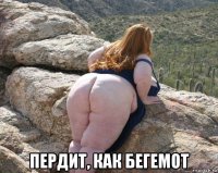  пердит, как бегемот