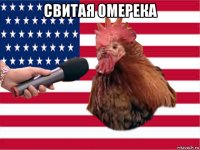 свитая омерека 