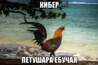 кибер петушара ебучая