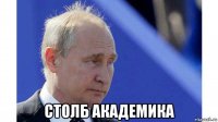  столб академика