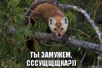  ты замужем, сссущщщка?))