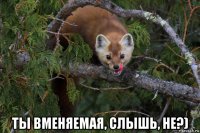  ты вменяемая, слышь, не?)