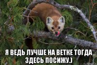  я ведь лучше на ветке тогда здесь посижу.)