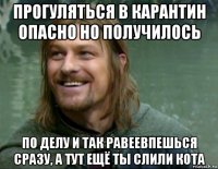 прогуляться в карантин опасно но получилось по делу и так равеевпешься сразу, а тут ещё ты слили кота