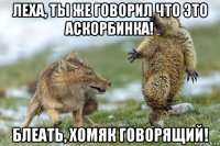 леха, ты же говорил что это аскорбинка! блеать, хомяк говорящий!