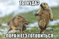 ты куда? пора к егэ готовиться