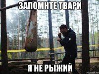 запомнте твари я не рыжий