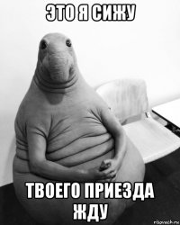 это я сижу твоего приезда жду