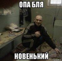 опа бля новенький
