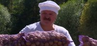 Создать мем Картошка