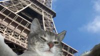Создать мем Котэ мери